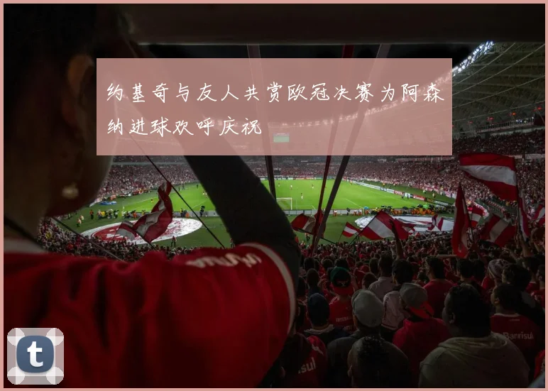 约基奇与友人共赏欧冠决赛为阿森纳进球欢呼庆祝